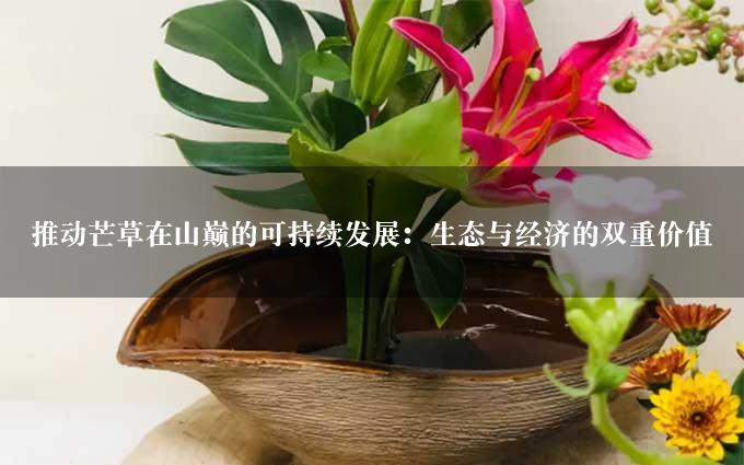 推动芒草在山巅的可持续发展：生态与经济的双重价值