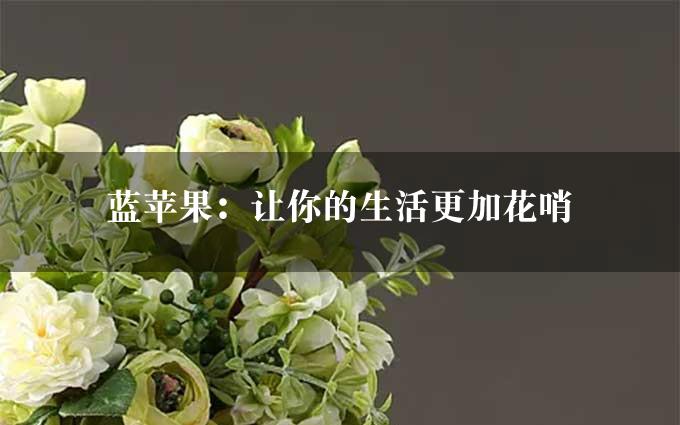 蓝苹果：让你的生活更加花哨