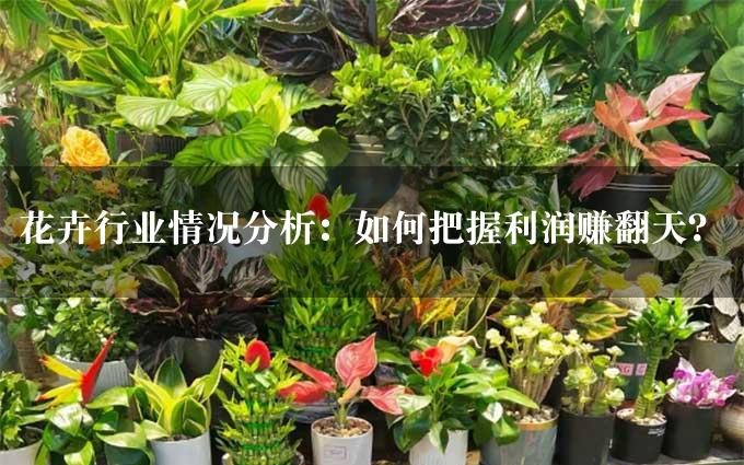 花卉行业情况分析：如何把握利润赚翻天？