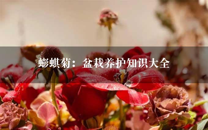 蟛蜞菊：盆栽养护知识大全