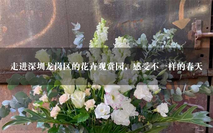 走进深圳龙岗区的花卉观赏园，感受不一样的春天