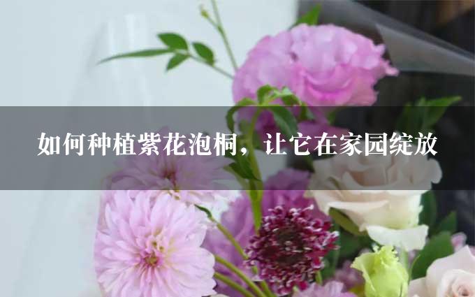 如何种植紫花泡桐，让它在家园绽放