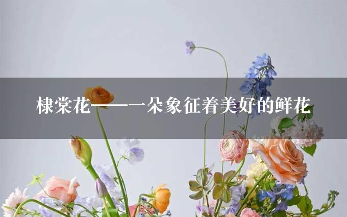棣棠花——一朵象征着美好的鲜花