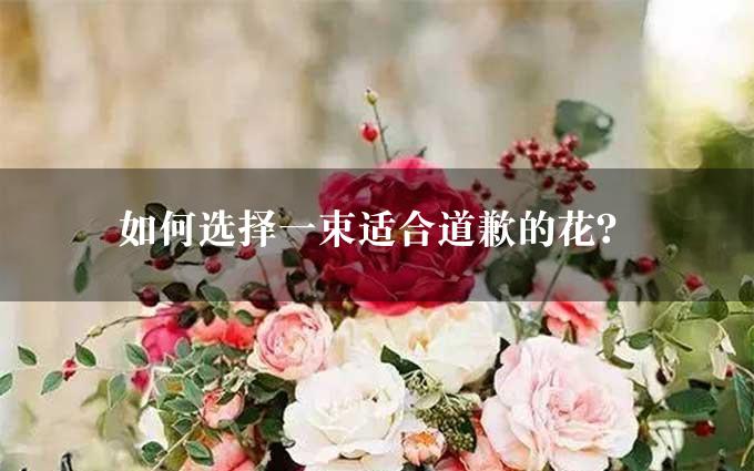 如何选择一束适合道歉的花？