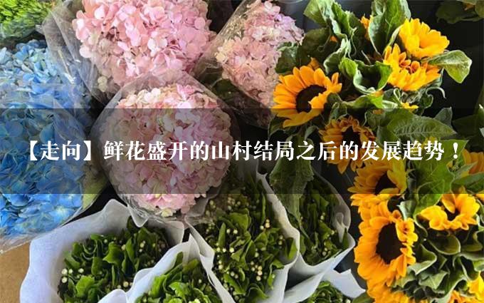 【走向】鲜花盛开的山村结局之后的发展趋势！