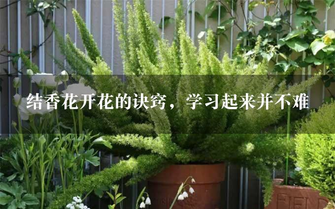 结香花开花的诀窍，学习起来并不难