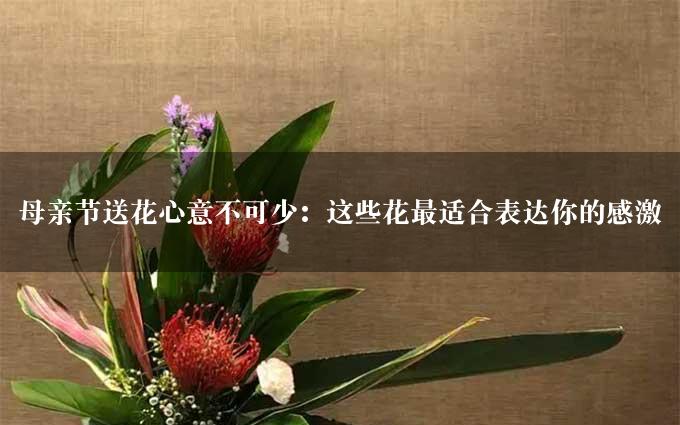 母亲节送花心意不可少：这些花最适合表达你的感激