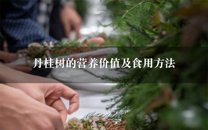 丹桂树的营养价值及食用方法