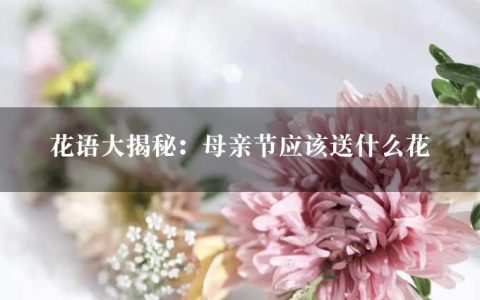 花语大揭秘：母亲节应该送什么花