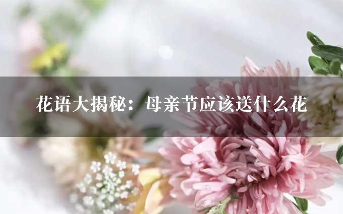 花语大揭秘：母亲节应该送什么花