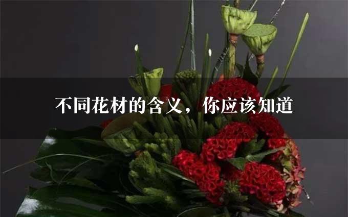 不同花材的含义，你应该知道