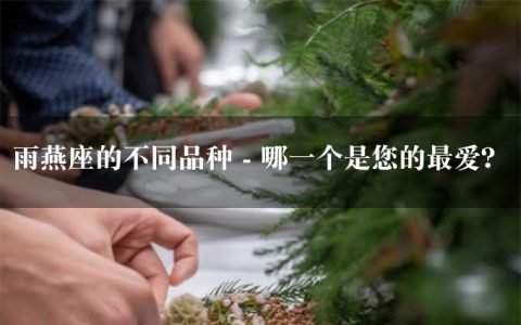 雨燕座的不同品种 - 哪一个是您的最爱？