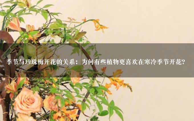 季节与珍珠梅开花的关系：为何有些植物更喜欢在寒冷季节开花？