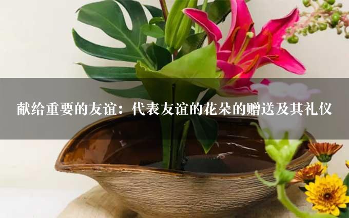 献给重要的友谊：代表友谊的花朵的赠送及其礼仪