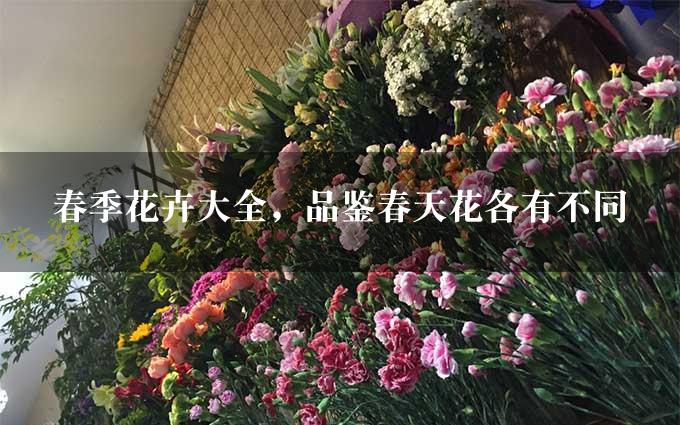 春季花卉大全，品鉴春天花各有不同