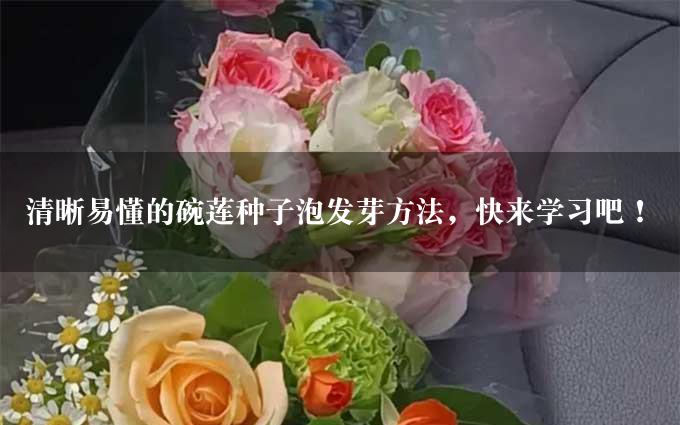 清晰易懂的碗莲种子泡发芽方法，快来学习吧！