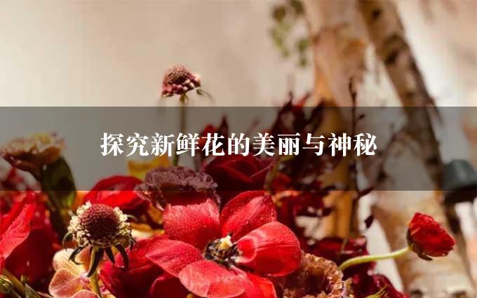 探究新鲜花的美丽与神秘