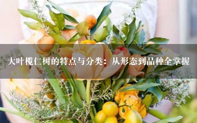 大叶榄仁树的特点与分类：从形态到品种全掌握