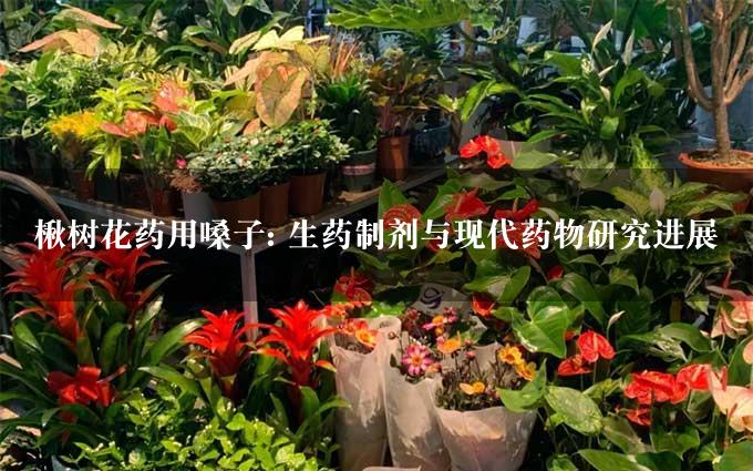 楸树花药用嗓子: 生药制剂与现代药物研究进展