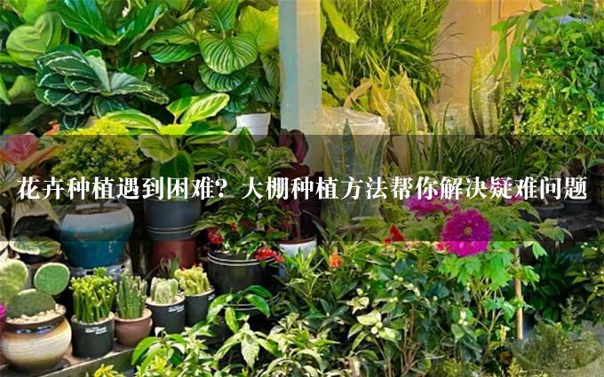 花卉种植遇到困难？大棚种植方法帮你解决疑难问题