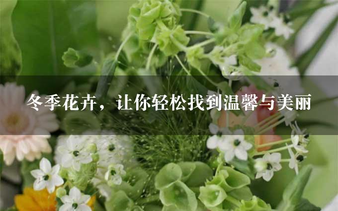 冬季花卉，让你轻松找到温馨与美丽