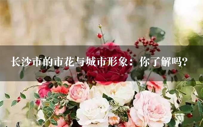 长沙市的市花与城市形象：你了解吗？