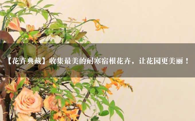 【花卉典藏】收集最美的耐寒宿根花卉，让花园更美丽！