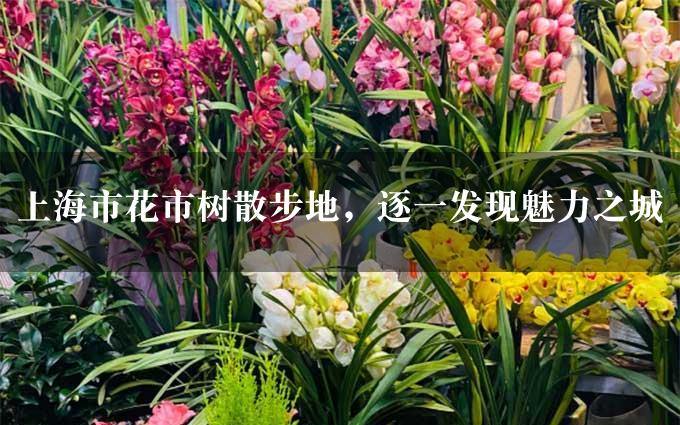 上海市花市树散步地，逐一发现魅力之城