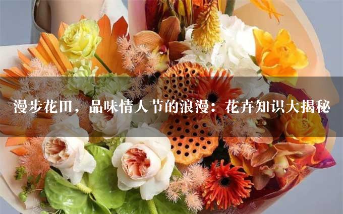 漫步花田，品味情人节的浪漫：花卉知识大揭秘