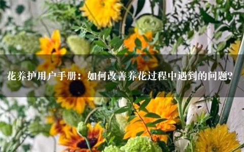 花养护用户手册：如何改善养花过程中遇到的问题？