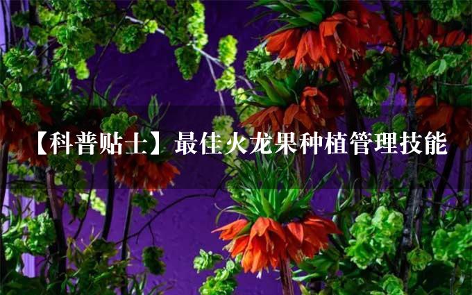 【科普贴士】最佳火龙果种植管理技能