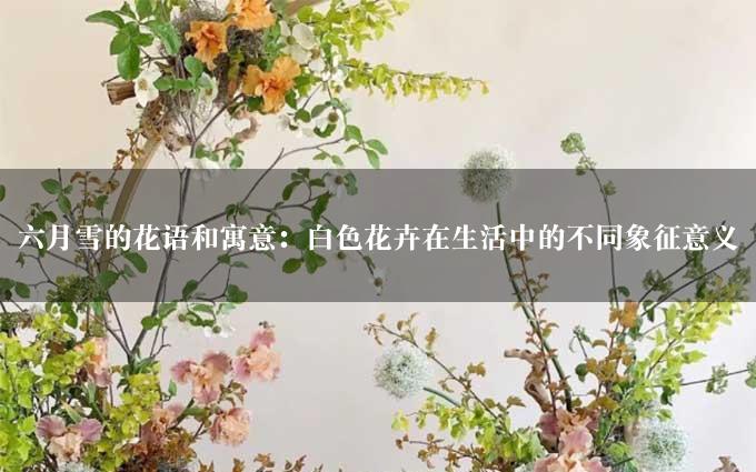 六月雪的花语和寓意：白色花卉在生活中的不同象征意义