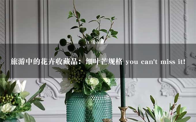 旅游中的花卉收藏品：细叶芒规格 you can't miss it!