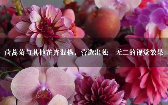 茼蒿菊与其他花卉混搭，营造出独一无二的视觉效果