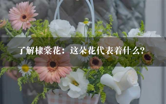 了解棣棠花：这朵花代表着什么？