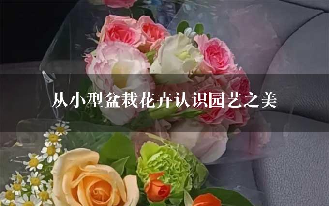 从小型盆栽花卉认识园艺之美