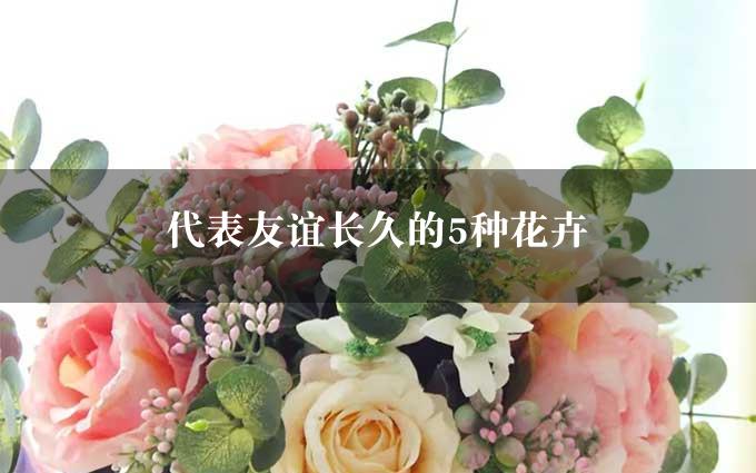 代表友谊长久的5种花卉