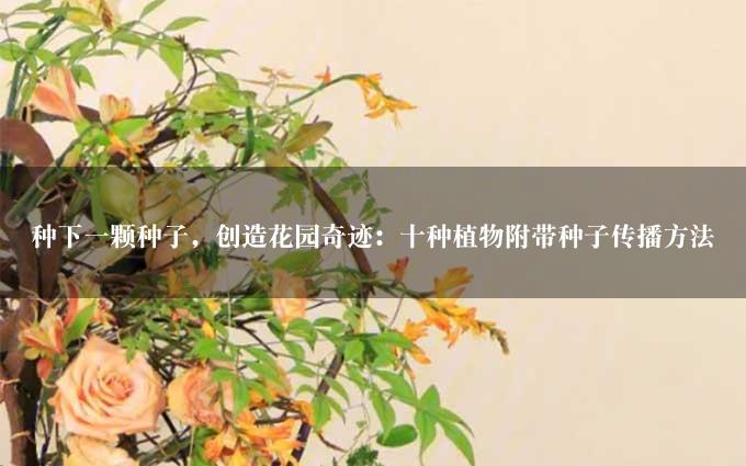 种下一颗种子，创造花园奇迹：十种植物附带种子传播方法