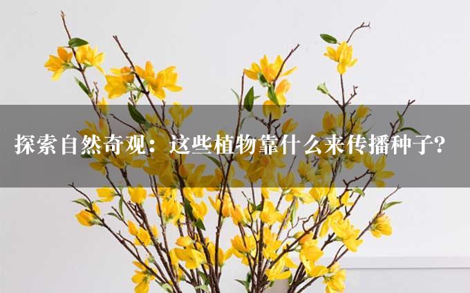 探索自然奇观：这些植物靠什么来传播种子？