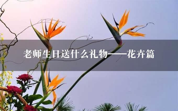 老师生日送什么礼物——花卉篇