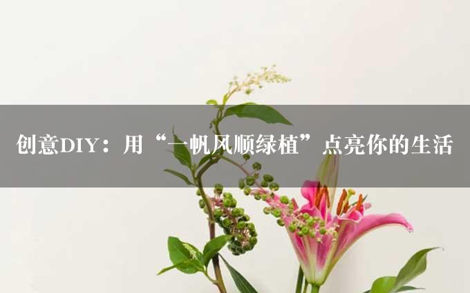 创意DIY：用“一帆风顺绿植”点亮你的生活