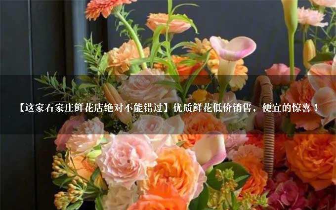 【这家石家庄鲜花店绝对不能错过】优质鲜花低价销售，便宜的惊喜！