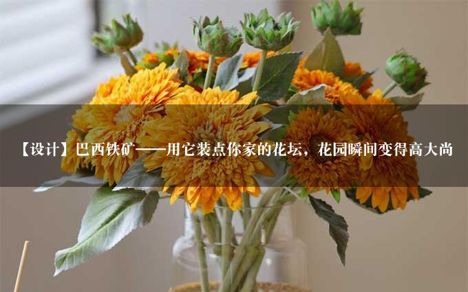 【设计】巴西铁矿——用它装点你家的花坛，花园瞬间变得高大尚