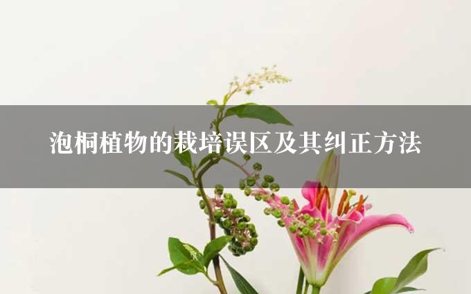 泡桐植物的栽培误区及其纠正方法