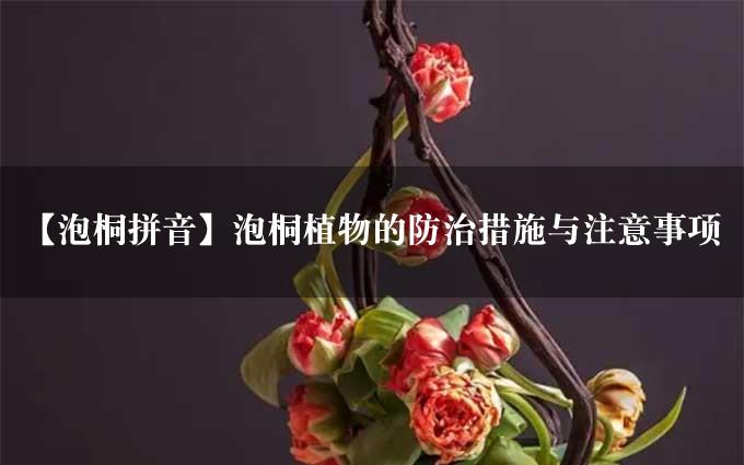 【泡桐拼音】泡桐植物的防治措施与注意事项