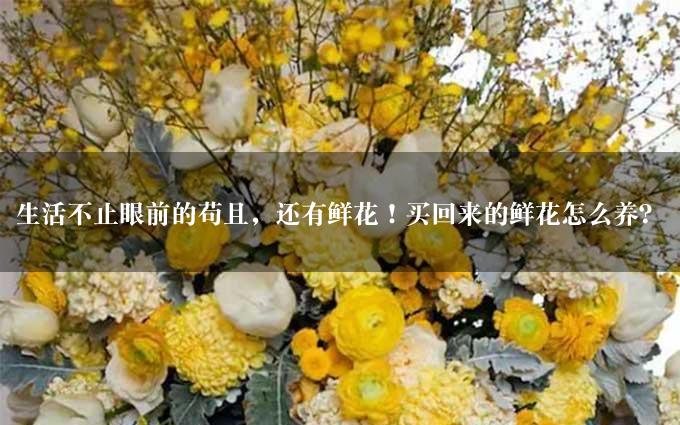 生活不止眼前的苟且，还有鲜花！买回来的鲜花怎么养？