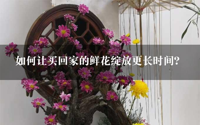 如何让买回家的鲜花绽放更长时间？