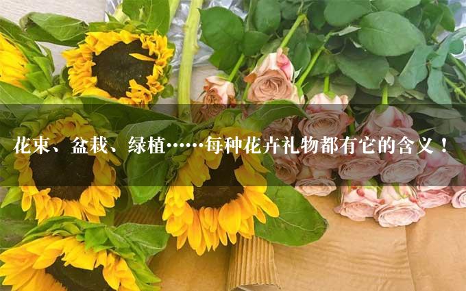 花束、盆栽、绿植……每种花卉礼物都有它的含义！