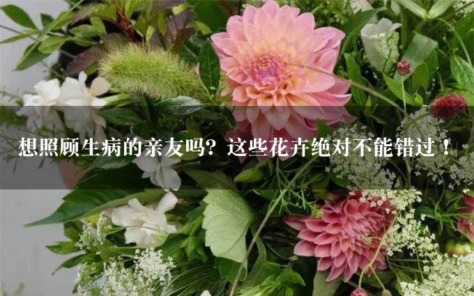 想照顾生病的亲友吗？这些花卉绝对不能错过！