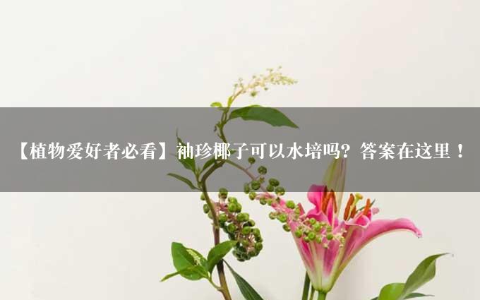 【植物爱好者必看】袖珍椰子可以水培吗？答案在这里！